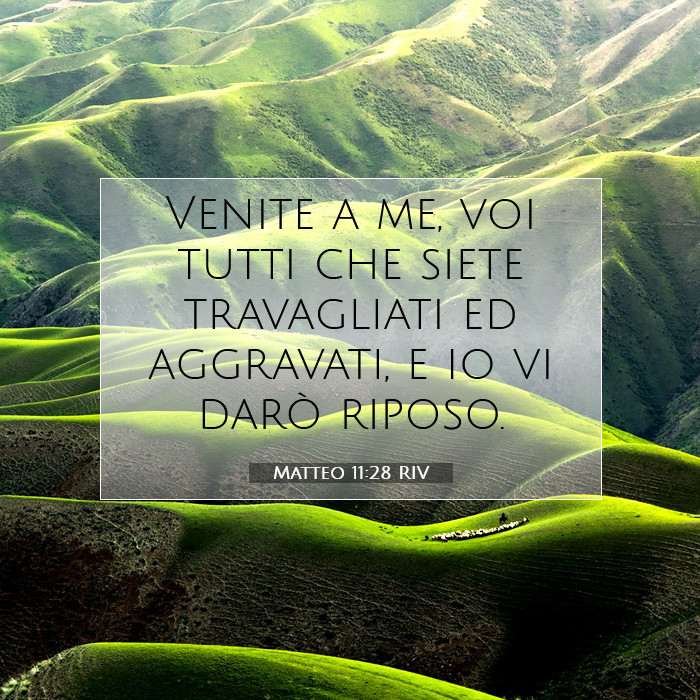 Matteo 11:28 Commento della Bibbia
