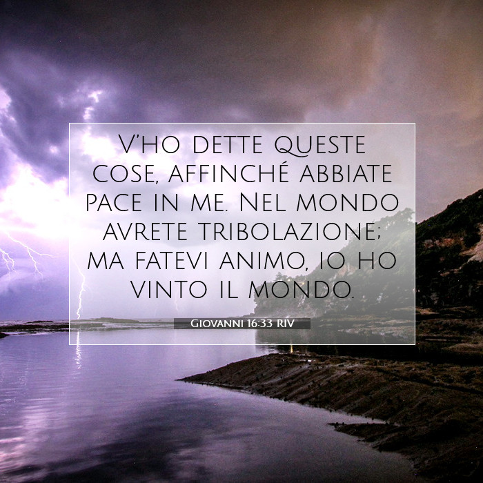 Giovanni 16:33 Commento della Bibbia