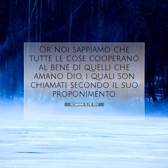 Romani 8:28 Commento della Bibbia