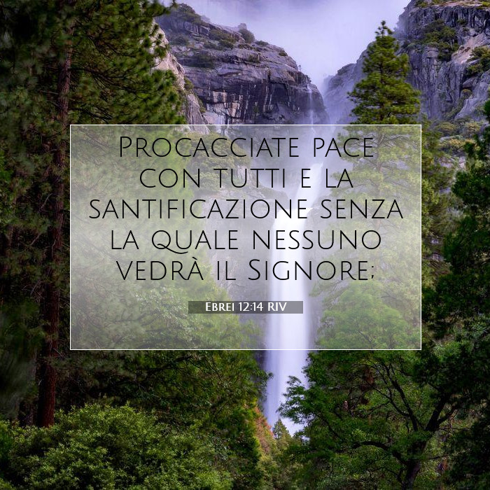 Ebrei 12:14