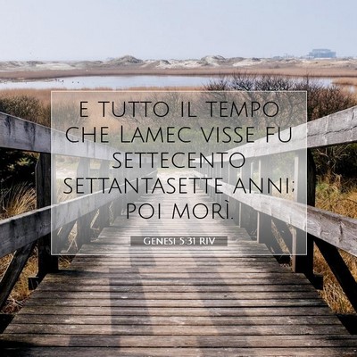 Genesi 5:31 Versetto della Bibbia Spiegato