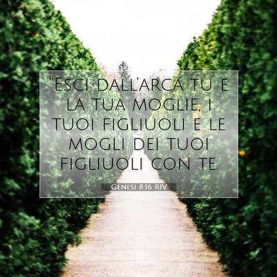 Genesi 8:16 Versetto della Bibbia Spiegato
