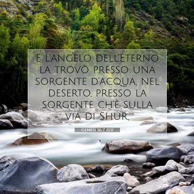 Genesi 16:7 RIV Immagine del Versetto della Bibbia