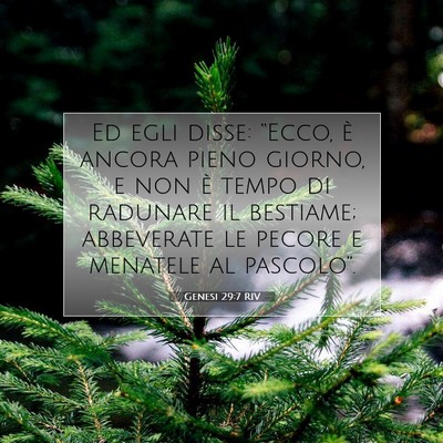 Genesi 29:7 Versetto della Bibbia Spiegato