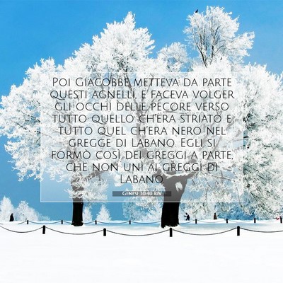 Genesi 30:40 Versetto della Bibbia Spiegato