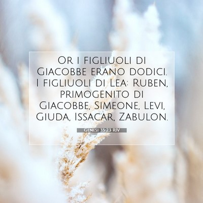 Genesi 35:23 RIV Immagine del Versetto della Bibbia