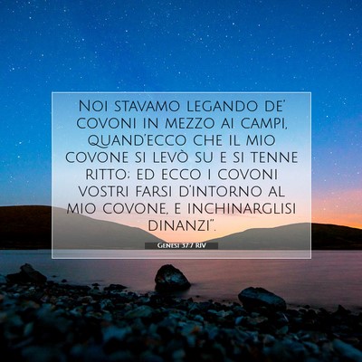 Genesi 37:7 Versetto della Bibbia Spiegato