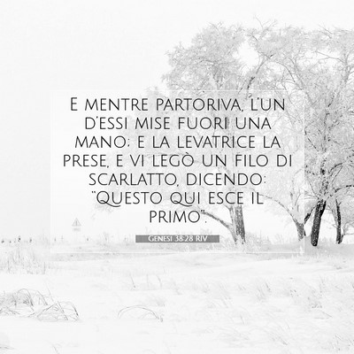 Genesi 38:28 Versetto della Bibbia Spiegato