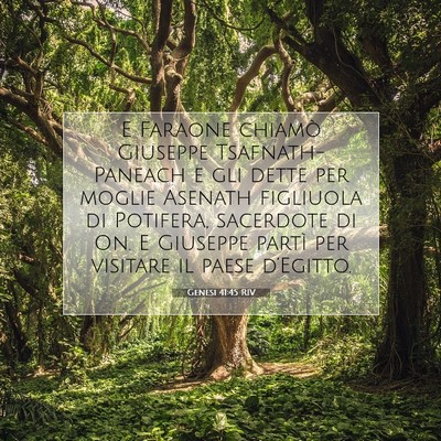 Genesi 41:45 RIV Immagine del Versetto della Bibbia