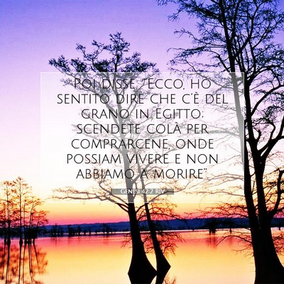 Genesi 42:2 RIV Immagine del Versetto della Bibbia