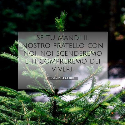 Genesi 43:4 Versetto della Bibbia Spiegato