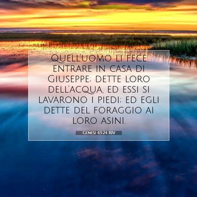 Genesi 43:24 Versetto della Bibbia Spiegato