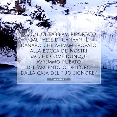 Genesi 44:8 RIV Immagine del Versetto della Bibbia