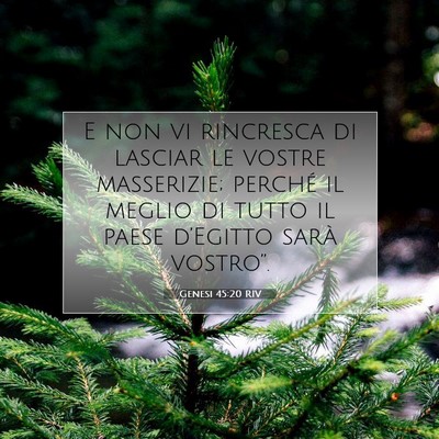 Genesi 45:20 Versetto della Bibbia Spiegato