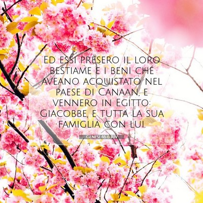 Genesi 46:6 Versetto della Bibbia Spiegato