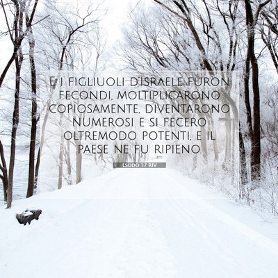 Esodo 1:7 Versetto della Bibbia Spiegato