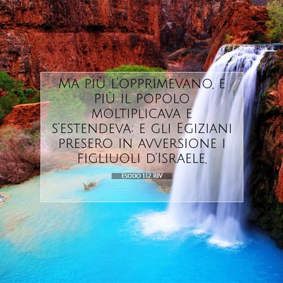 Esodo 1:12 Versetto della Bibbia Spiegato