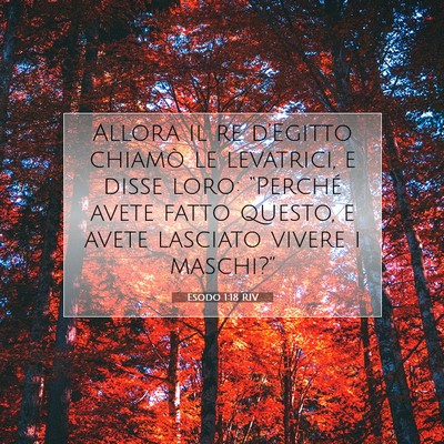 Esodo 1:18 Versetto della Bibbia Spiegato