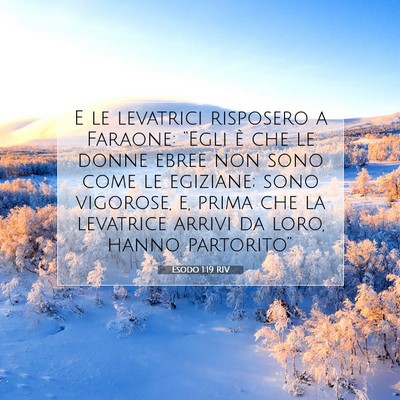 Esodo 1:19 Versetto della Bibbia Spiegato