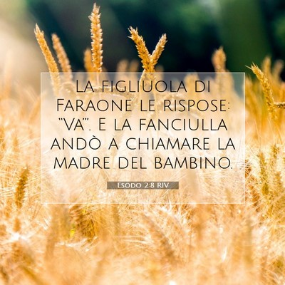 Esodo 2:8 Versetto della Bibbia Spiegato