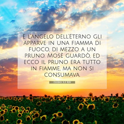 Esodo 3:2 RIV Immagine del Versetto della Bibbia