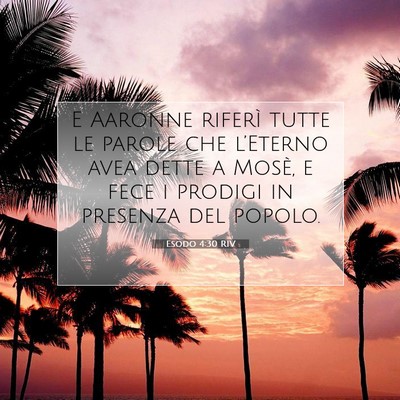 Esodo 4:30 Versetto della Bibbia Spiegato