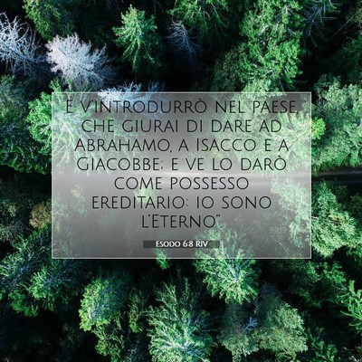 Esodo 6:8 RIV Immagine del Versetto della Bibbia
