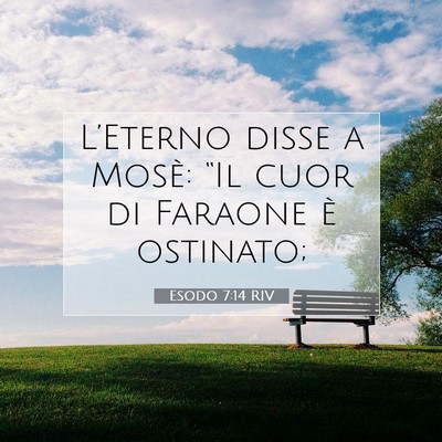 Esodo 7:14 Versetto della Bibbia Spiegato