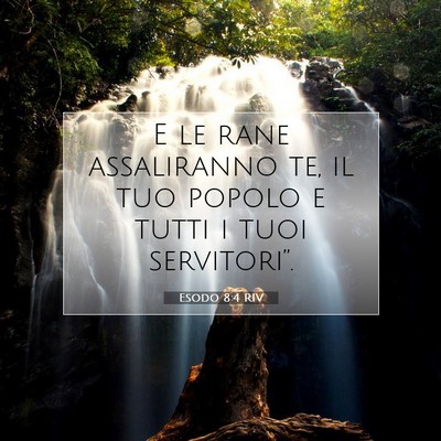 Esodo 8:4 Versetto della Bibbia Spiegato