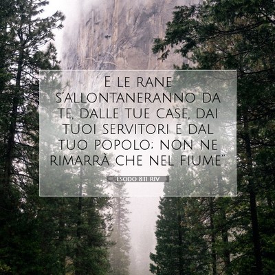 Esodo 8:11 Versetto della Bibbia Spiegato