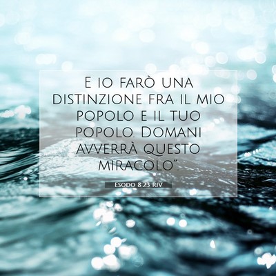 Esodo 8:23 RIV Immagine del Versetto della Bibbia