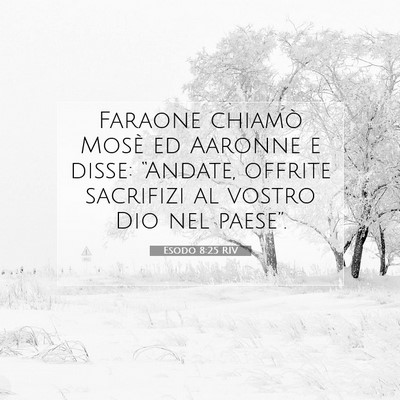 Esodo 8:25 Versetto della Bibbia Spiegato