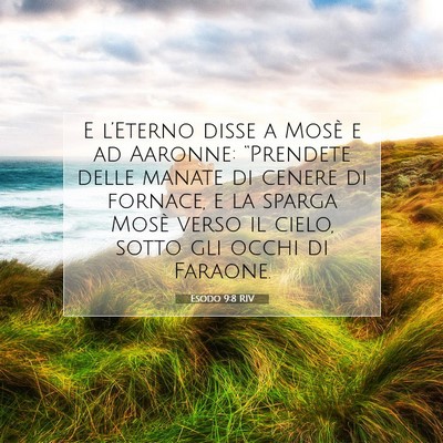 Esodo 9:8 Versetto della Bibbia Spiegato