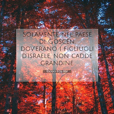 Esodo 9:26 RIV Immagine del Versetto della Bibbia
