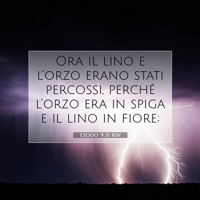 Esodo 9:31 RIV Immagine del Versetto della Bibbia