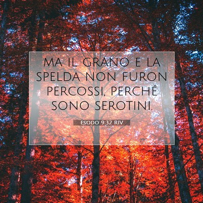 Esodo 9:32 Versetto della Bibbia Spiegato