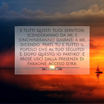 Esodo 11:8 RIV Immagine del Versetto della Bibbia