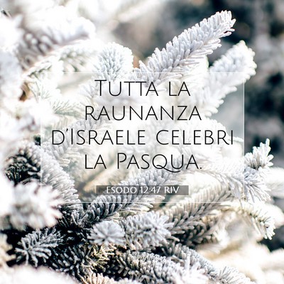 Esodo 12:47 Versetto della Bibbia Spiegato