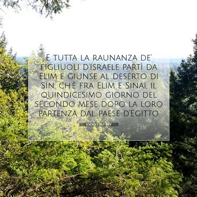 Esodo 16:1 RIV Immagine del Versetto della Bibbia