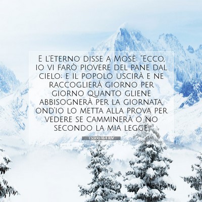 Esodo 16:4 RIV Immagine del Versetto della Bibbia