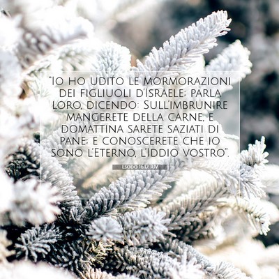Esodo 16:12 RIV Immagine del Versetto della Bibbia