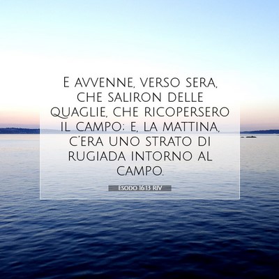 Esodo 16:13 RIV Immagine del Versetto della Bibbia