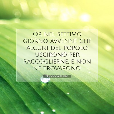 Esodo 16:27 RIV Immagine del Versetto della Bibbia