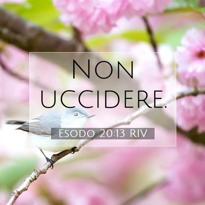 Esodo 20:13 RIV Immagine del Versetto della Bibbia