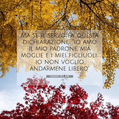 Esodo 21:5 Versetto della Bibbia Spiegato
