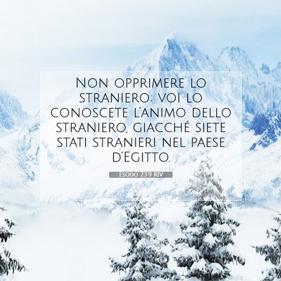 Esodo 23:9 Versetto della Bibbia Spiegato