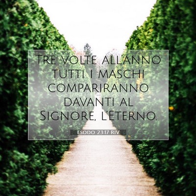 Esodo 23:17 RIV Immagine del Versetto della Bibbia