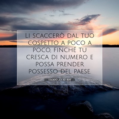 Esodo 23:30 Versetto della Bibbia Spiegato