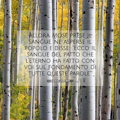 Esodo 24:8 RIV Immagine del Versetto della Bibbia
