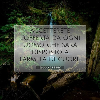 Esodo 25:2 Versetto della Bibbia Spiegato